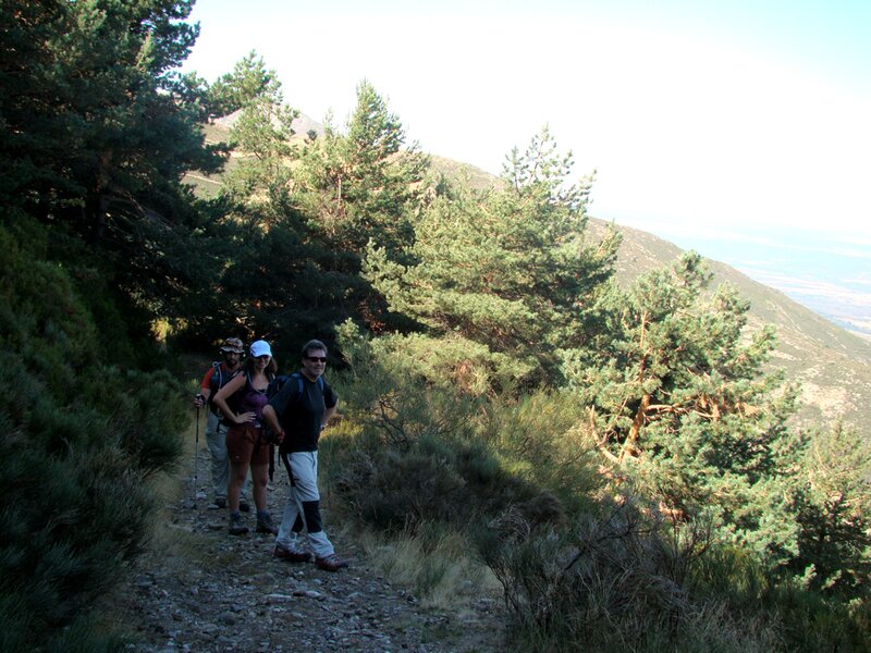 Pico del Lobo (2272)